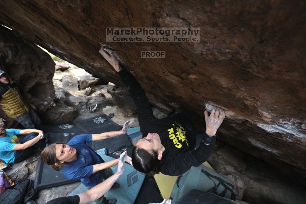 

Filename: SRM_20211126_1248090.jpg
Aperture: f/5.6
Shutter Speed: 1/400
Body: Canon EOS R6
Lens: Canon EF 16-35mm f/2.8 L