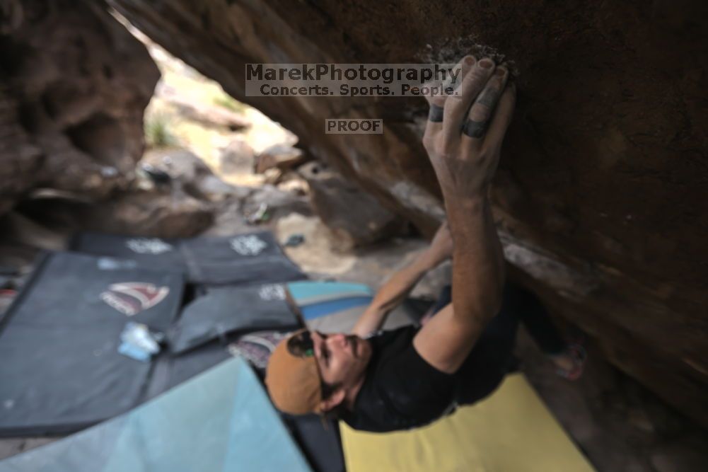 

Filename: SRM_20211126_1251450.jpg
Aperture: f/2.8
Shutter Speed: 1/400
Body: Canon EOS R6
Lens: Canon EF 16-35mm f/2.8 L