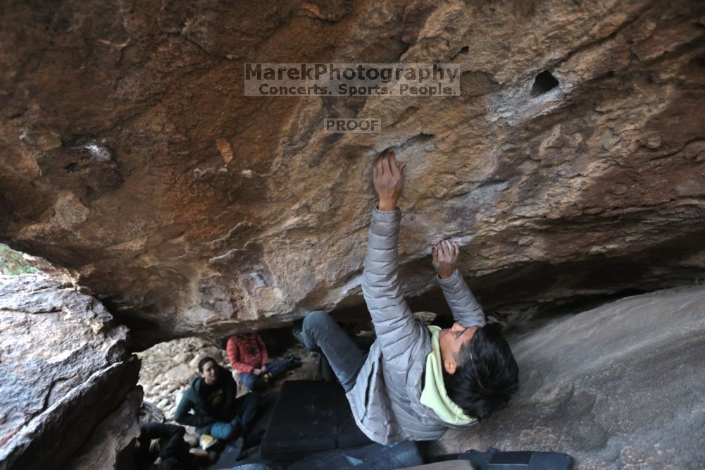 

Filename: SRM_20211126_1535052.jpg
Aperture: f/4.0
Shutter Speed: 1/250
Body: Canon EOS R6
Lens: Canon EF 16-35mm f/2.8 L