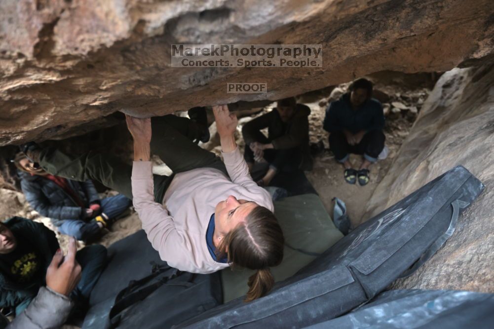 

Filename: SRM_20211126_1538040.jpg
Aperture: f/3.5
Shutter Speed: 1/250
Body: Canon EOS R6
Lens: Canon EF 16-35mm f/2.8 L