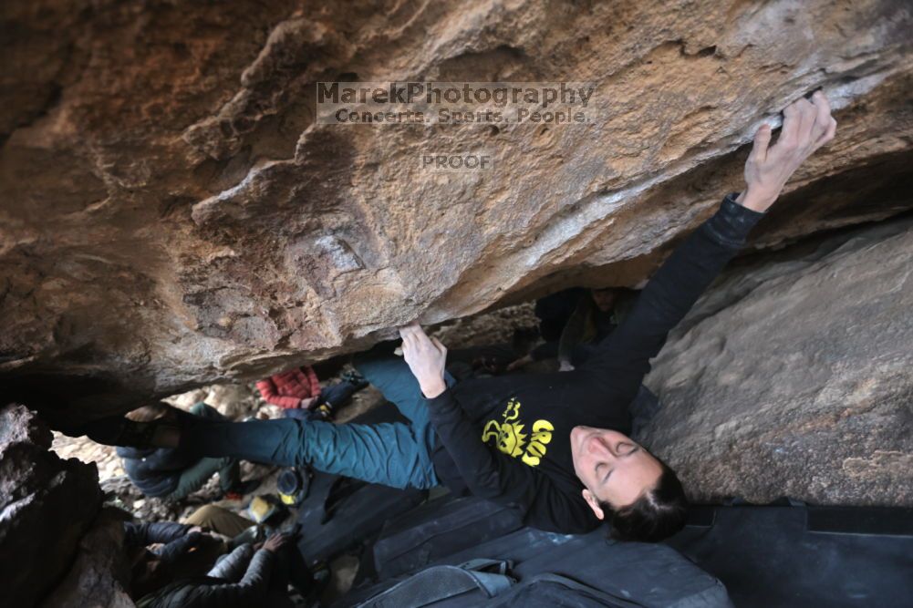 

Filename: SRM_20211126_1539280.jpg
Aperture: f/3.5
Shutter Speed: 1/250
Body: Canon EOS R6
Lens: Canon EF 16-35mm f/2.8 L