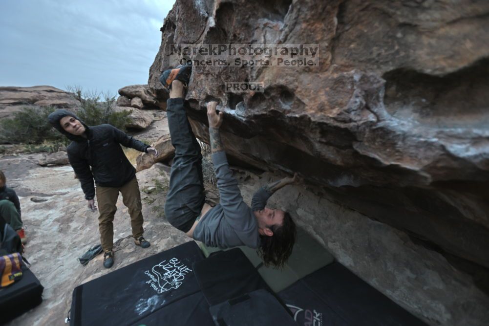 

Filename: SRM_20211126_1650300.jpg
Aperture: f/2.8
Shutter Speed: 1/250
Body: Canon EOS R6
Lens: Canon EF 16-35mm f/2.8 L