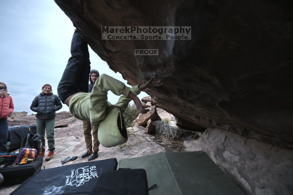 

Filename: SRM_20211126_1651120.jpg
Aperture: f/2.8
Shutter Speed: 1/250
Body: Canon EOS R6
Lens: Canon EF 16-35mm f/2.8 L