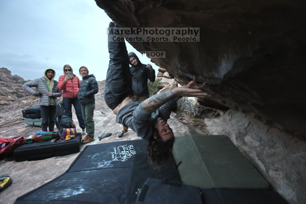 

Filename: SRM_20211126_1656100.jpg
Aperture: f/4.0
Shutter Speed: 1/250
Body: Canon EOS R6
Lens: Canon EF 16-35mm f/2.8 L