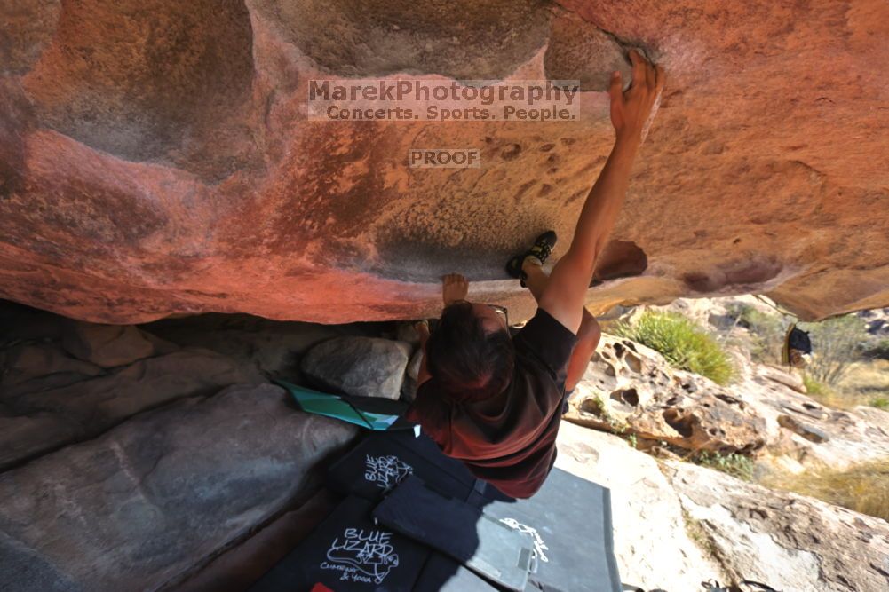 

Filename: SRM_20211203_0956050.jpg
Aperture: f/5.6
Shutter Speed: 1/500
Body: Canon EOS R6
Lens: Canon EF 16-35mm f/2.8 L