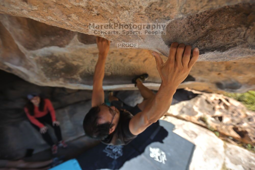 

Filename: SRM_20211203_1014351.jpg
Aperture: f/2.8
Shutter Speed: 1/500
Body: Canon EOS R6
Lens: Canon EF 16-35mm f/2.8 L