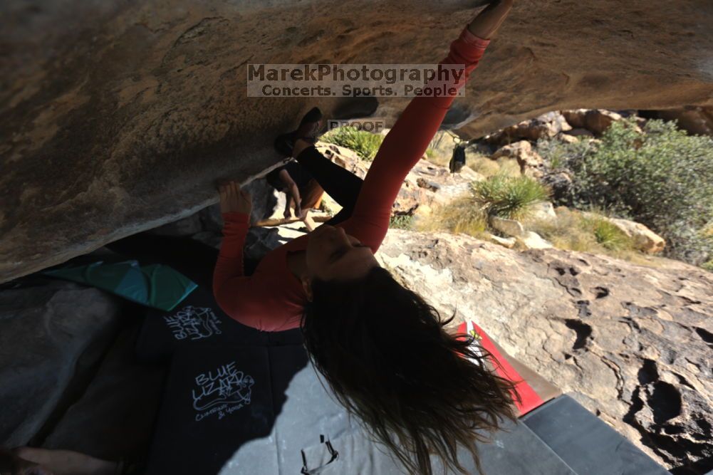 

Filename: SRM_20211203_1103470.jpg
Aperture: f/5.6
Shutter Speed: 1/500
Body: Canon EOS R6
Lens: Canon EF 16-35mm f/2.8 L