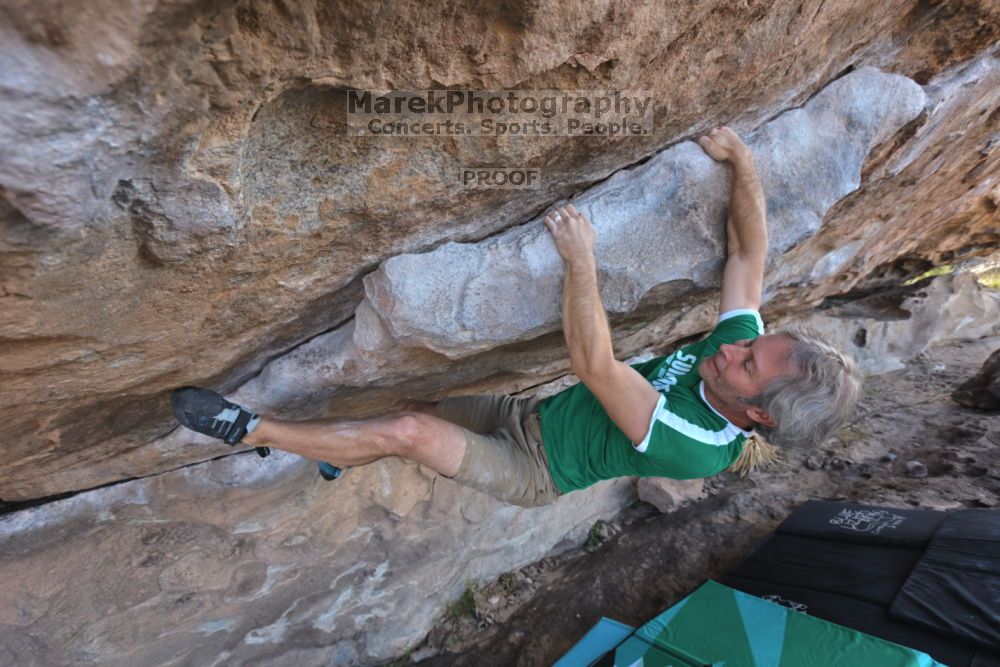 

Filename: SRM_20211204_1009020.jpg
Aperture: f/5.6
Shutter Speed: 1/500
Body: Canon EOS R6
Lens: Canon EF 16-35mm f/2.8 L