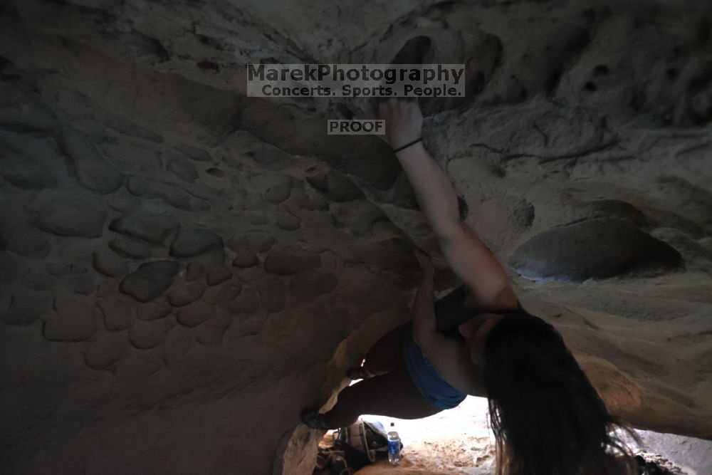

Filename: SRM_20211204_1528232.jpg
Aperture: f/4.0
Shutter Speed: 1/250
Body: Canon EOS R6
Lens: Canon EF 16-35mm f/2.8 L
