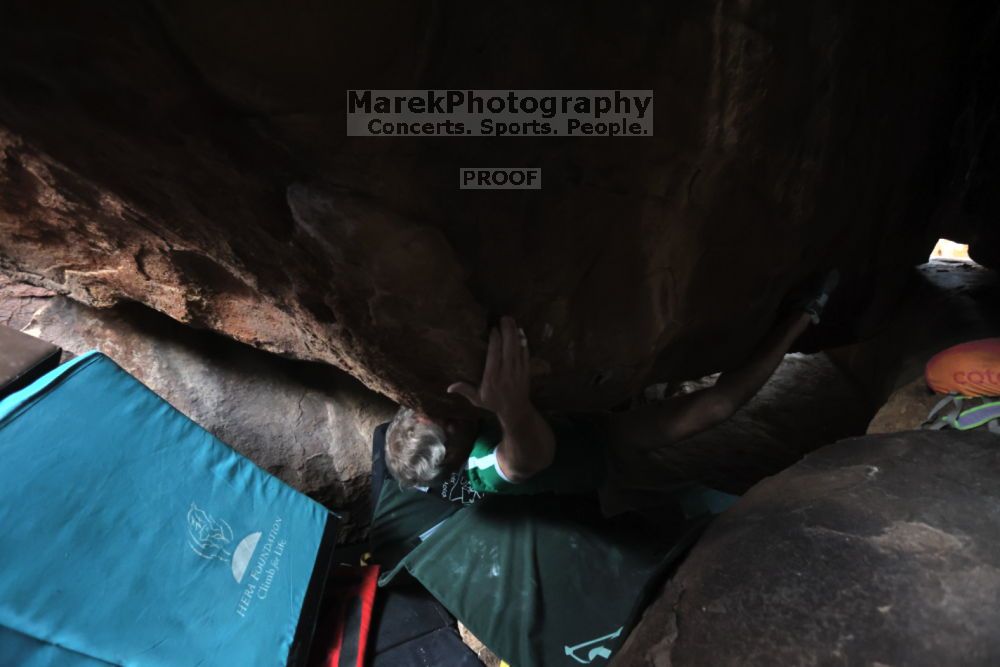 

Filename: SRM_20211204_1611390.jpg
Aperture: f/4.0
Shutter Speed: 1/250
Body: Canon EOS R6
Lens: Canon EF 16-35mm f/2.8 L