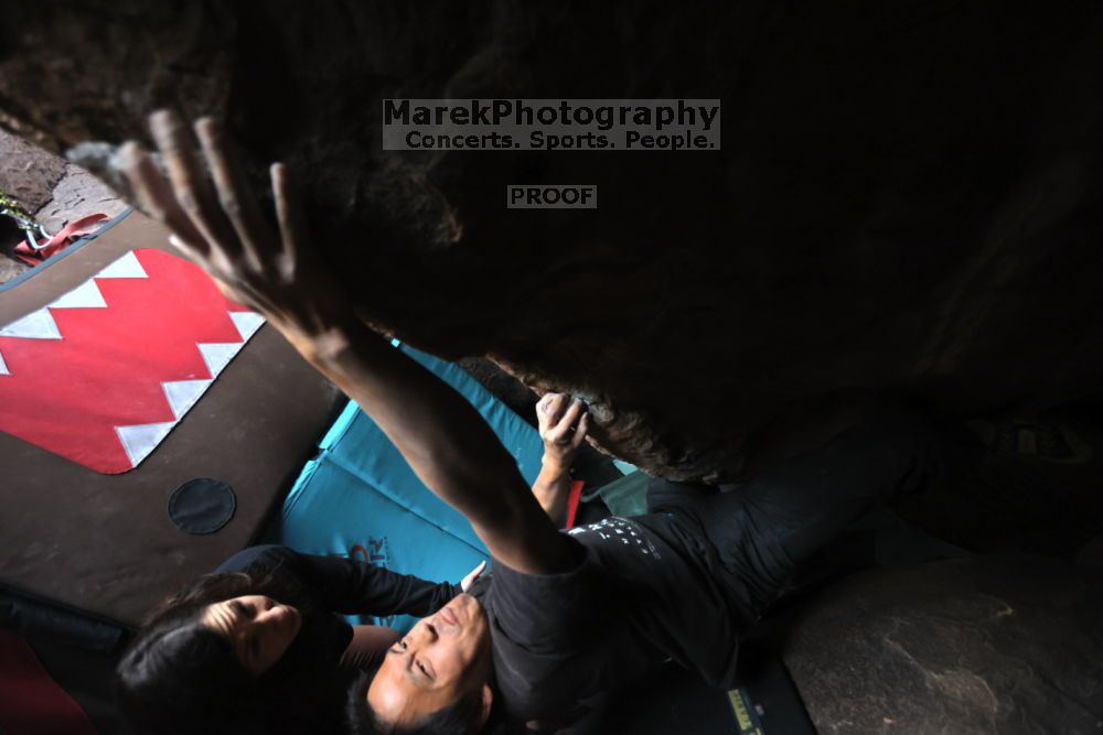

Filename: SRM_20211204_1614470.jpg
Aperture: f/4.0
Shutter Speed: 1/250
Body: Canon EOS R6
Lens: Canon EF 16-35mm f/2.8 L