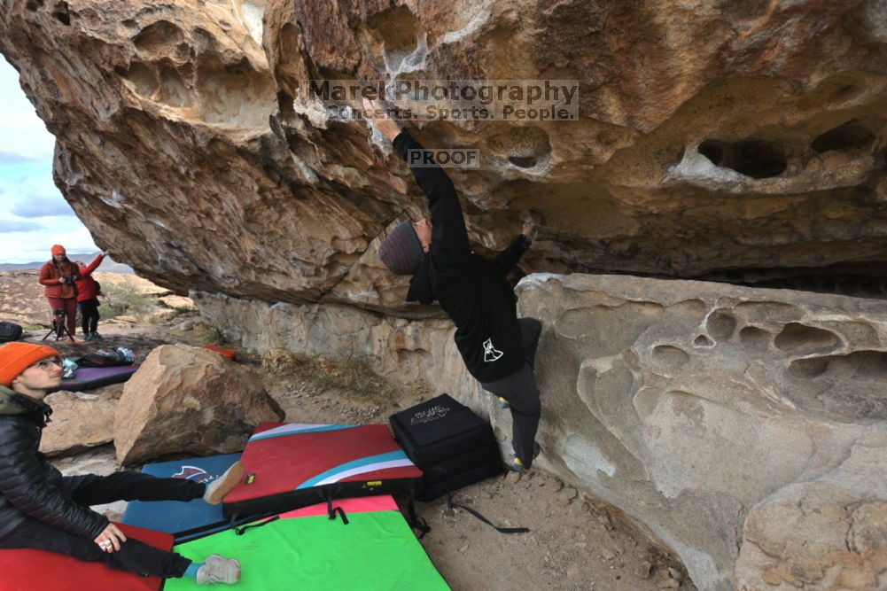 

Filename: SRM_20211210_1034050.jpg
Aperture: f/5.6
Shutter Speed: 1/500
Body: Canon EOS R6
Lens: Canon EF 16-35mm f/2.8 L