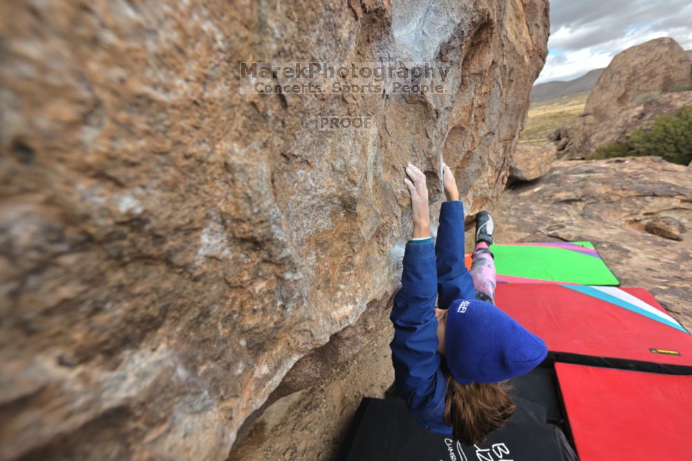 

Filename: SRM_20211210_1212510.jpg
Aperture: f/5.6
Shutter Speed: 1/1000
Body: Canon EOS R6
Lens: Canon EF 16-35mm f/2.8 L