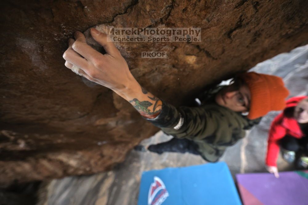 

Filename: SRM_20211210_1355031.jpg
Aperture: f/2.8
Shutter Speed: 1/500
Body: Canon EOS R6
Lens: Canon EF 16-35mm f/2.8 L
