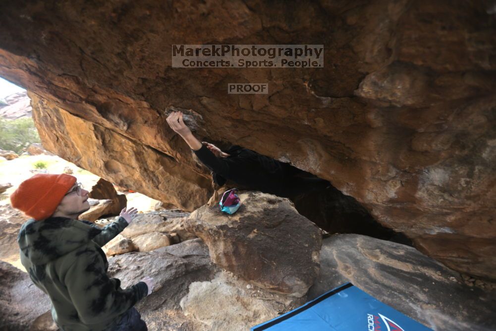 

Filename: SRM_20211210_1356450.jpg
Aperture: f/2.8
Shutter Speed: 1/500
Body: Canon EOS R6
Lens: Canon EF 16-35mm f/2.8 L