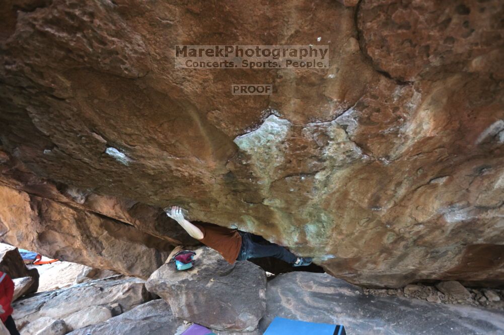 

Filename: SRM_20211210_1411030.jpg
Aperture: f/4.0
Shutter Speed: 1/500
Body: Canon EOS R6
Lens: Canon EF 16-35mm f/2.8 L