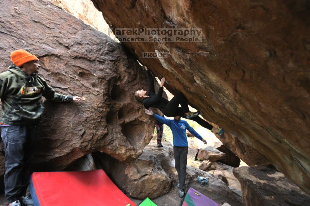

Filename: SRM_20211210_1420050.jpg
Aperture: f/4.0
Shutter Speed: 1/500
Body: Canon EOS R6
Lens: Canon EF 16-35mm f/2.8 L