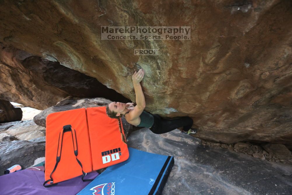 

Filename: SRM_20211210_1431441.jpg
Aperture: f/4.5
Shutter Speed: 1/500
Body: Canon EOS R6
Lens: Canon EF 16-35mm f/2.8 L