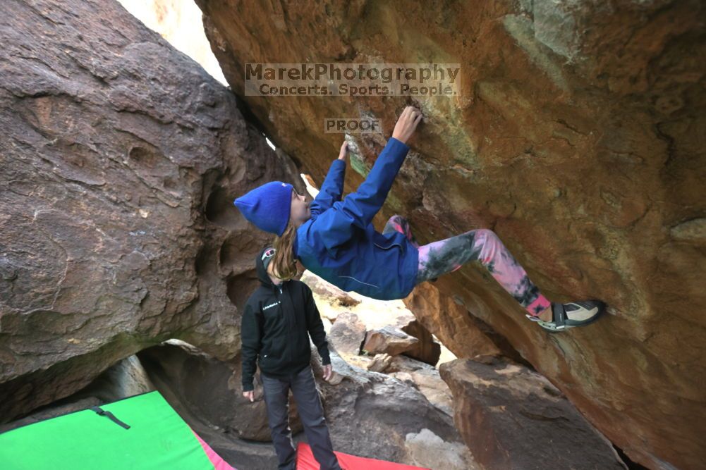 

Filename: SRM_20211210_1535370.jpg
Aperture: f/4.0
Shutter Speed: 1/500
Body: Canon EOS R6
Lens: Canon EF 16-35mm f/2.8 L