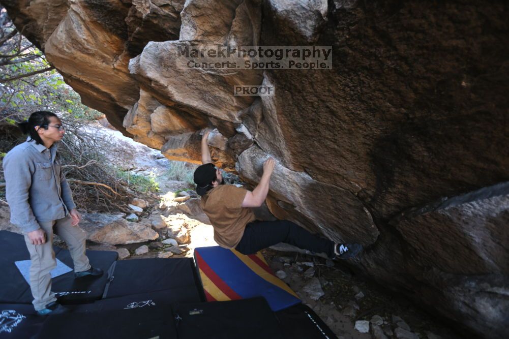 

Filename: SRM_20211211_1015180.jpg
Aperture: f/4.0
Shutter Speed: 1/500
Body: Canon EOS R6
Lens: Canon EF 16-35mm f/2.8 L