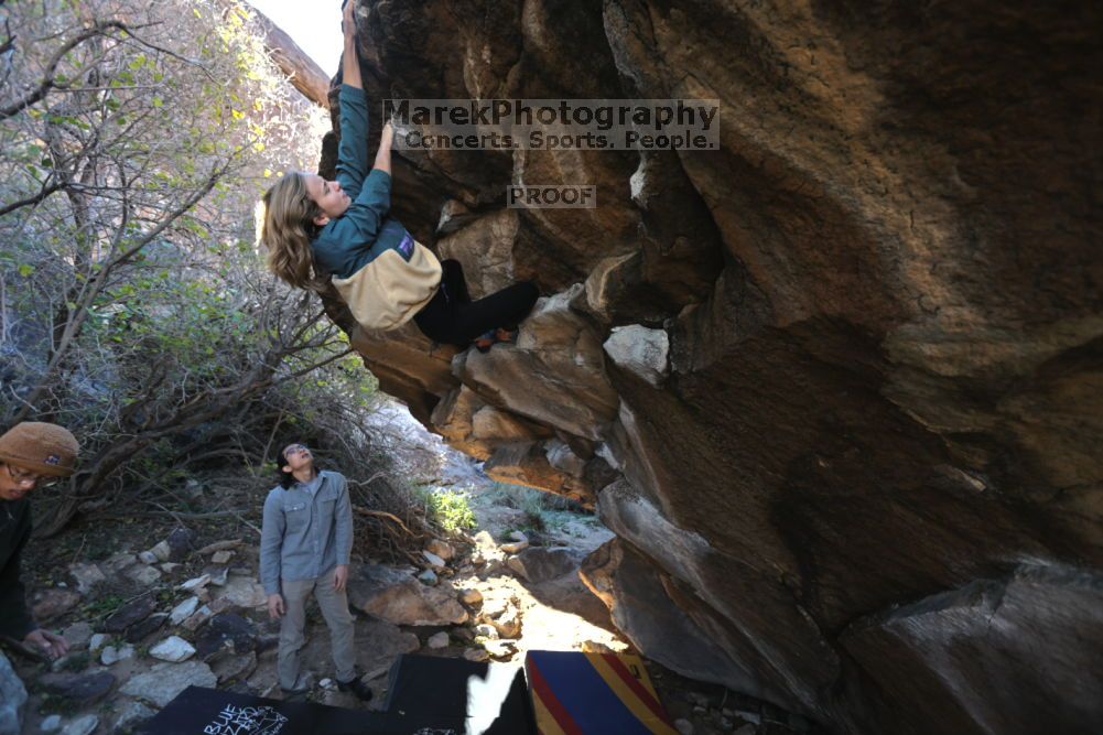 

Filename: SRM_20211211_1021230.jpg
Aperture: f/4.0
Shutter Speed: 1/500
Body: Canon EOS R6
Lens: Canon EF 16-35mm f/2.8 L