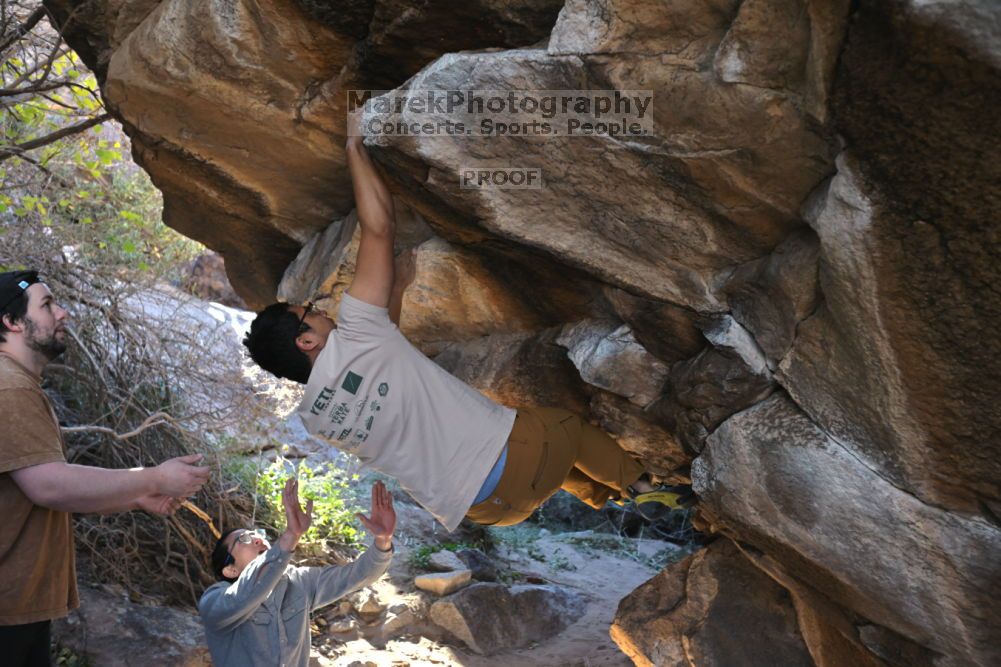 

Filename: SRM_20211211_1025400.jpg
Aperture: f/4.0
Shutter Speed: 1/500
Body: Canon EOS R6
Lens: Canon EF 16-35mm f/2.8 L