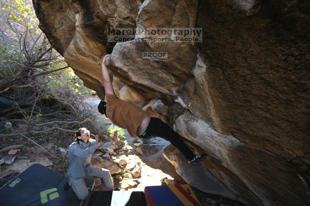 

Filename: SRM_20211211_1028170.jpg
Aperture: f/4.0
Shutter Speed: 1/500
Body: Canon EOS R6
Lens: Canon EF 16-35mm f/2.8 L