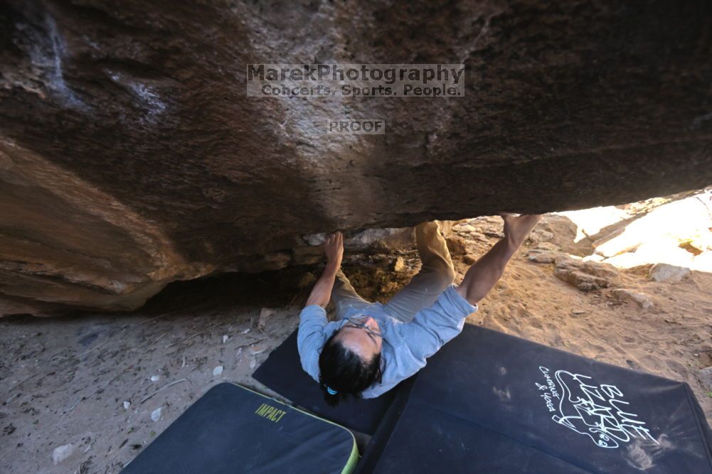 

Filename: SRM_20211211_1125370.jpg
Aperture: f/5.6
Shutter Speed: 1/320
Body: Canon EOS R6
Lens: Canon EF 16-35mm f/2.8 L