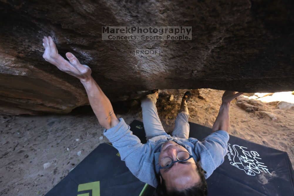 

Filename: SRM_20211211_1125421.jpg
Aperture: f/5.6
Shutter Speed: 1/320
Body: Canon EOS R6
Lens: Canon EF 16-35mm f/2.8 L