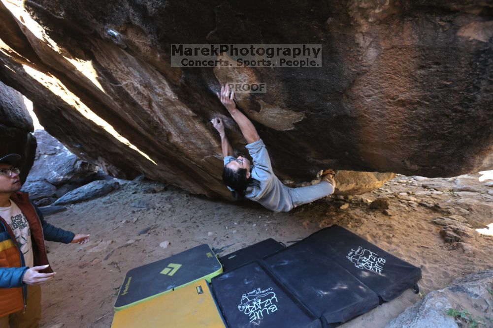 

Filename: SRM_20211211_1130040.jpg
Aperture: f/5.6
Shutter Speed: 1/320
Body: Canon EOS R6
Lens: Canon EF 16-35mm f/2.8 L