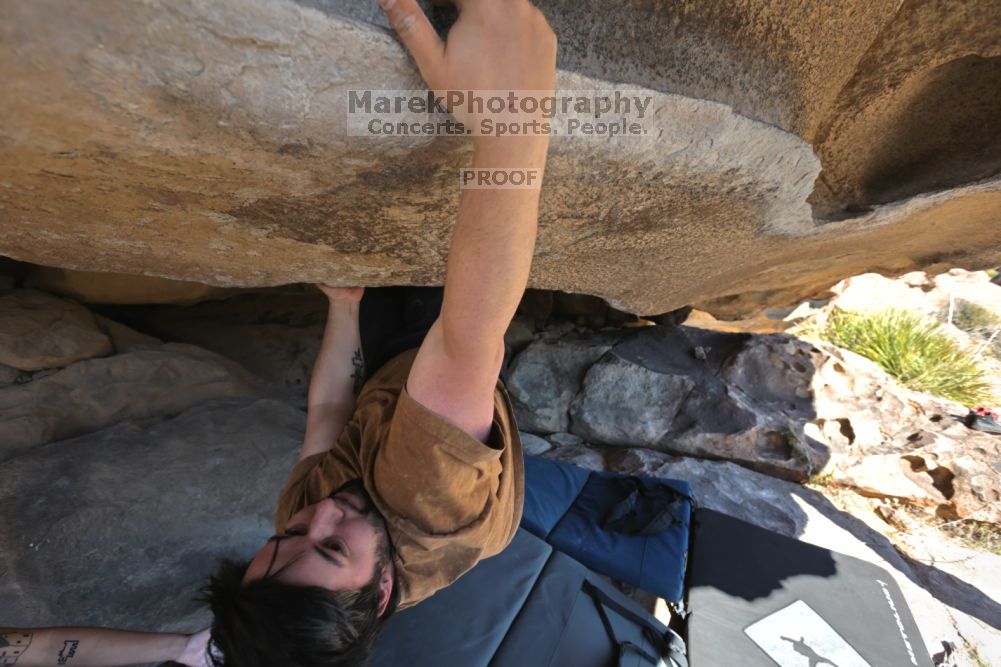

Filename: SRM_20211211_1312090.jpg
Aperture: f/5.6
Shutter Speed: 1/400
Body: Canon EOS R6
Lens: Canon EF 16-35mm f/2.8 L