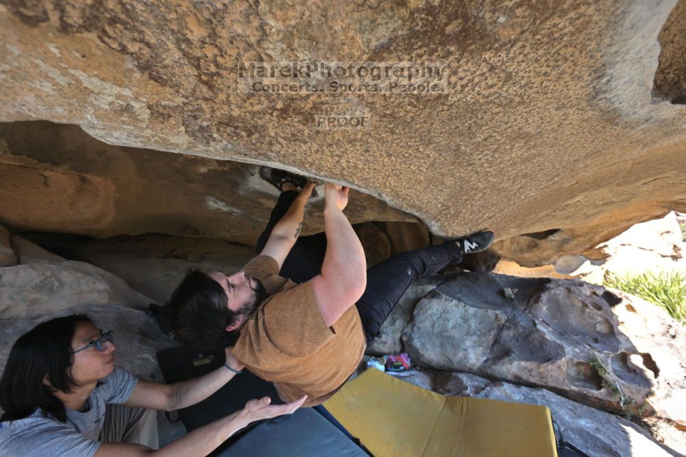 

Filename: SRM_20211211_1329320.jpg
Aperture: f/5.6
Shutter Speed: 1/400
Body: Canon EOS R6
Lens: Canon EF 16-35mm f/2.8 L
