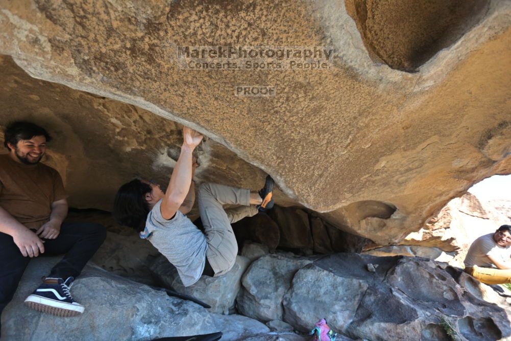 

Filename: SRM_20211211_1402230.jpg
Aperture: f/4.0
Shutter Speed: 1/400
Body: Canon EOS R6
Lens: Canon EF 16-35mm f/2.8 L