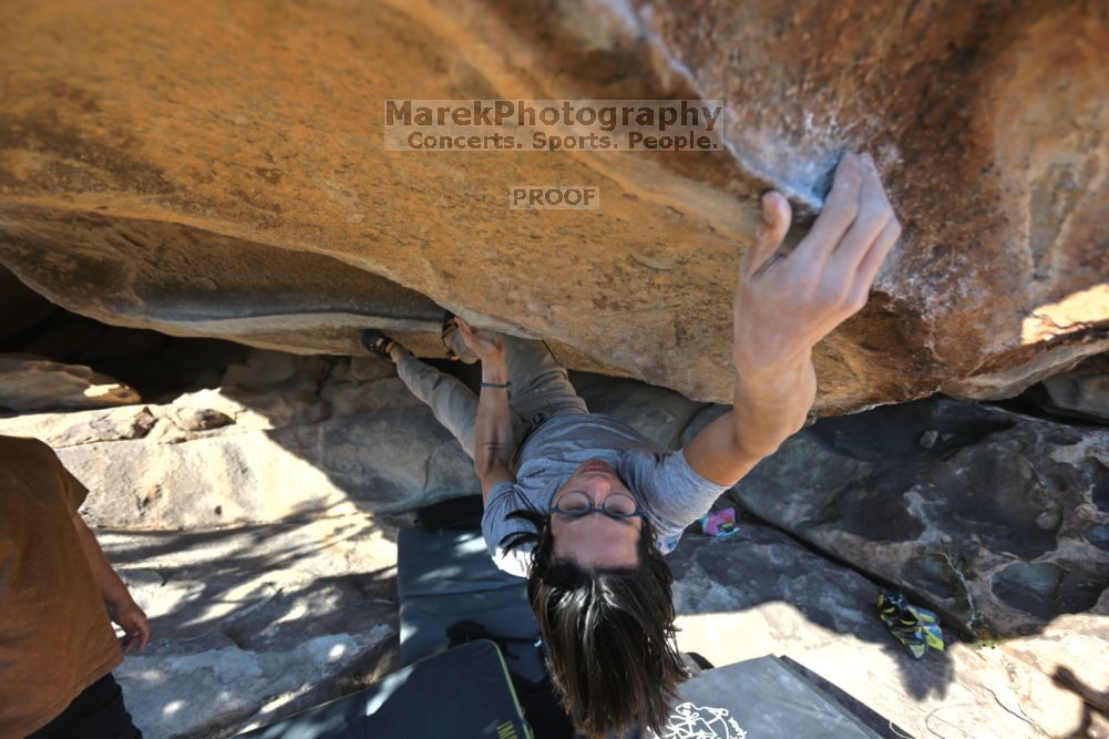 

Filename: SRM_20211211_1402400.jpg
Aperture: f/4.0
Shutter Speed: 1/400
Body: Canon EOS R6
Lens: Canon EF 16-35mm f/2.8 L