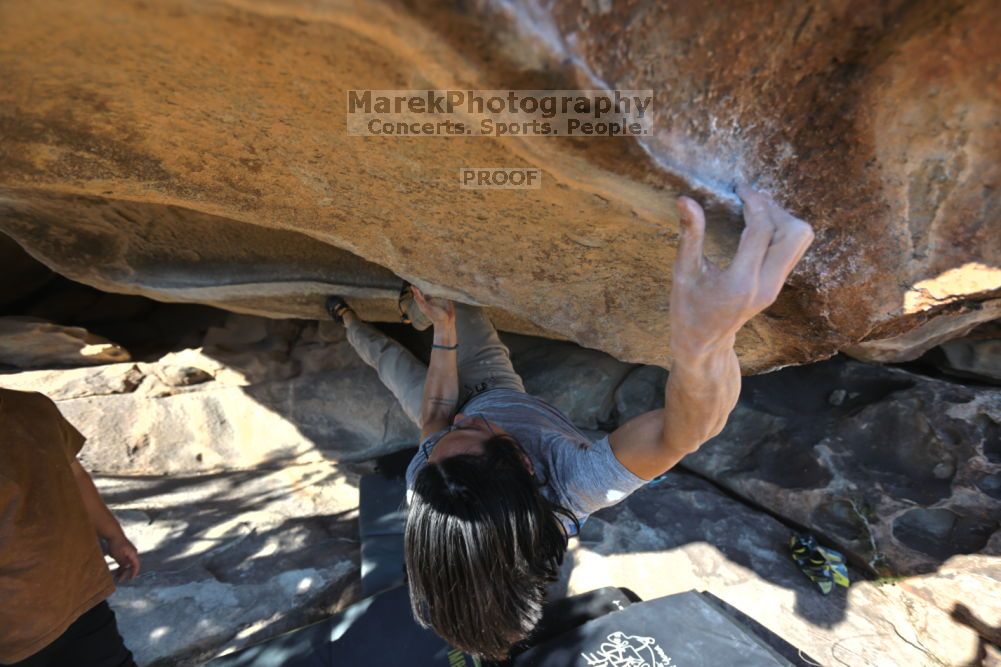 

Filename: SRM_20211211_1402401.jpg
Aperture: f/4.0
Shutter Speed: 1/400
Body: Canon EOS R6
Lens: Canon EF 16-35mm f/2.8 L