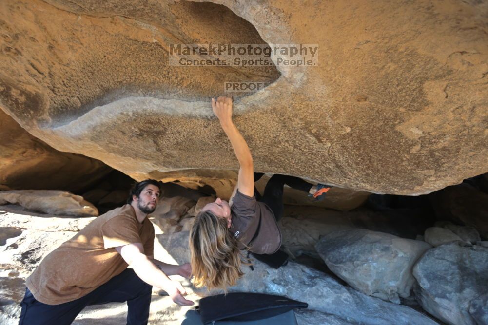 

Filename: SRM_20211211_1410110.jpg
Aperture: f/4.0
Shutter Speed: 1/400
Body: Canon EOS R6
Lens: Canon EF 16-35mm f/2.8 L