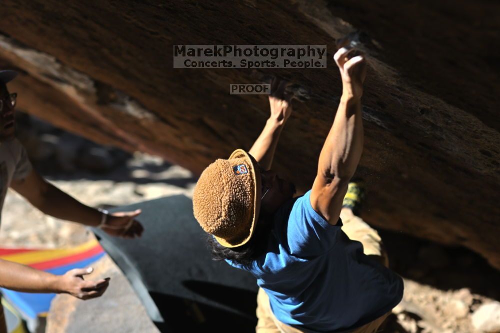 

Filename: SRM_20211212_1048390.jpg
Aperture: f/2.8
Shutter Speed: 1/2500
Body: Canon EOS R6
Lens: Canon EF 85mm f/1.2 L II