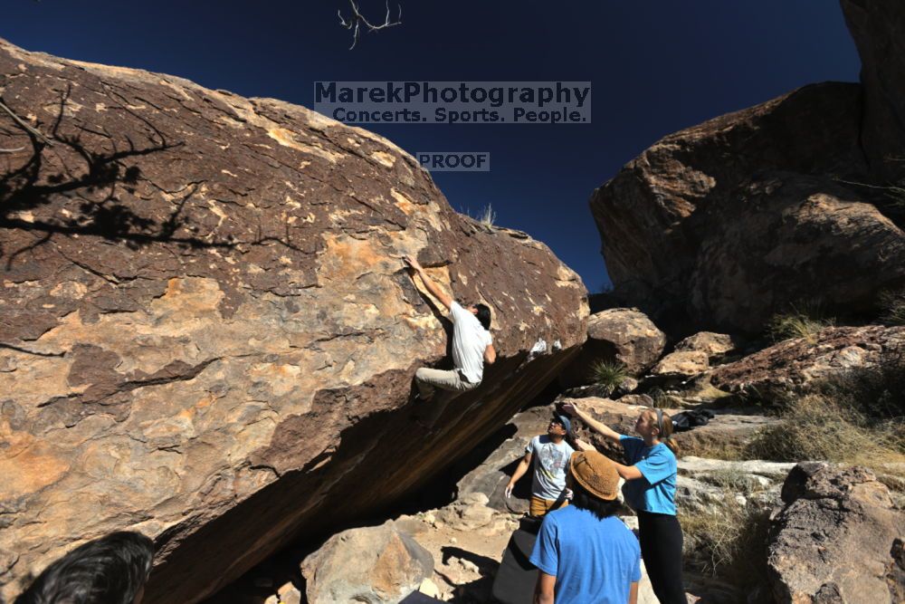 

Filename: SRM_20211212_1116430.jpg
Aperture: f/5.6
Shutter Speed: 1/1000
Body: Canon EOS R6
Lens: Canon EF 16-35mm f/2.8 L