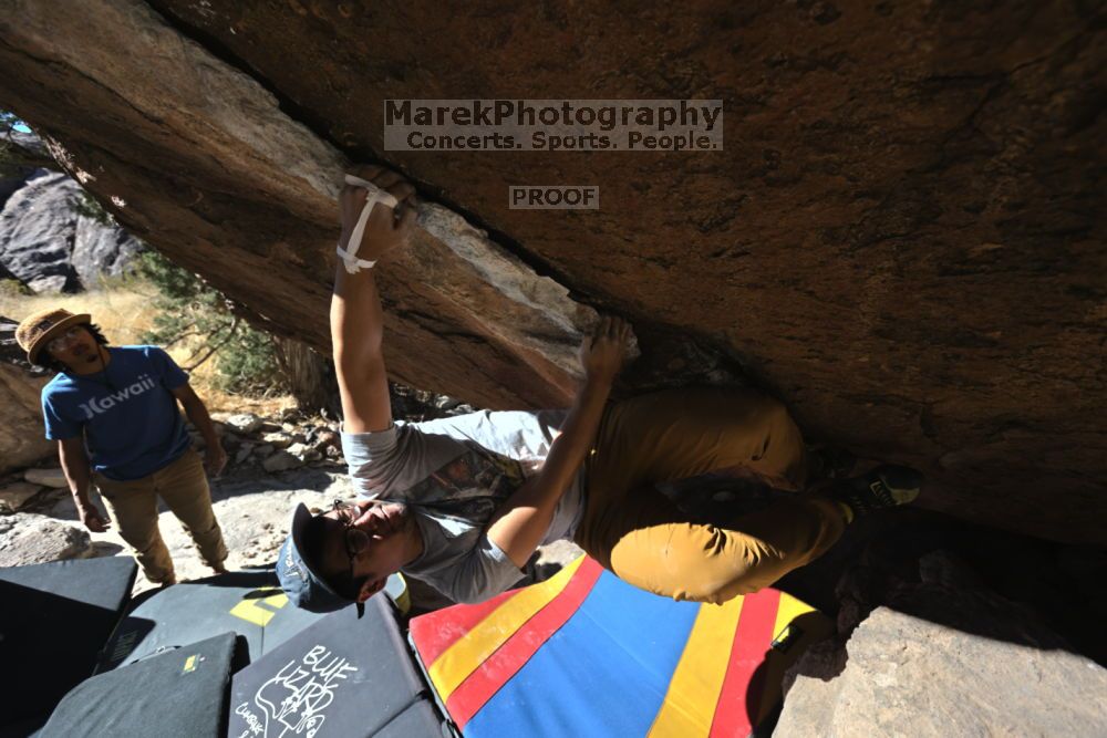 

Filename: SRM_20211212_1128430.jpg
Aperture: f/5.6
Shutter Speed: 1/500
Body: Canon EOS R6
Lens: Canon EF 16-35mm f/2.8 L