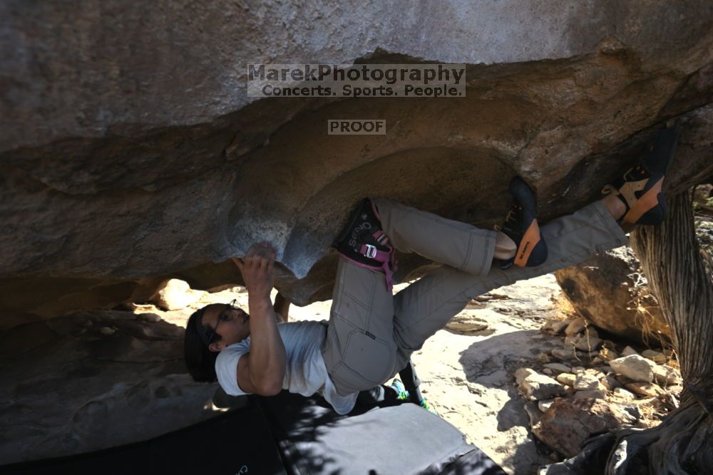 

Filename: SRM_20211212_1154080.jpg
Aperture: f/5.6
Shutter Speed: 1/500
Body: Canon EOS R6
Lens: Canon EF 16-35mm f/2.8 L