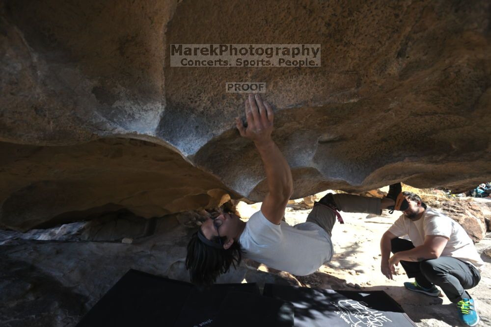 

Filename: SRM_20211212_1206520.jpg
Aperture: f/5.6
Shutter Speed: 1/500
Body: Canon EOS R6
Lens: Canon EF 16-35mm f/2.8 L