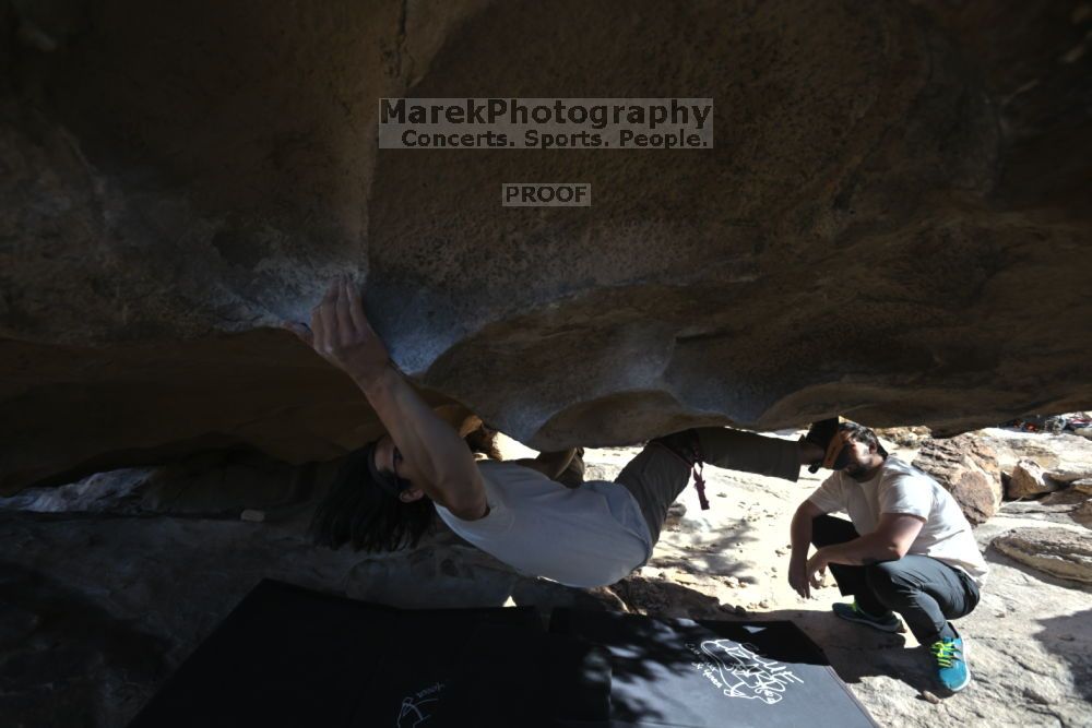 

Filename: SRM_20211212_1206530.jpg
Aperture: f/5.6
Shutter Speed: 1/500
Body: Canon EOS R6
Lens: Canon EF 16-35mm f/2.8 L
