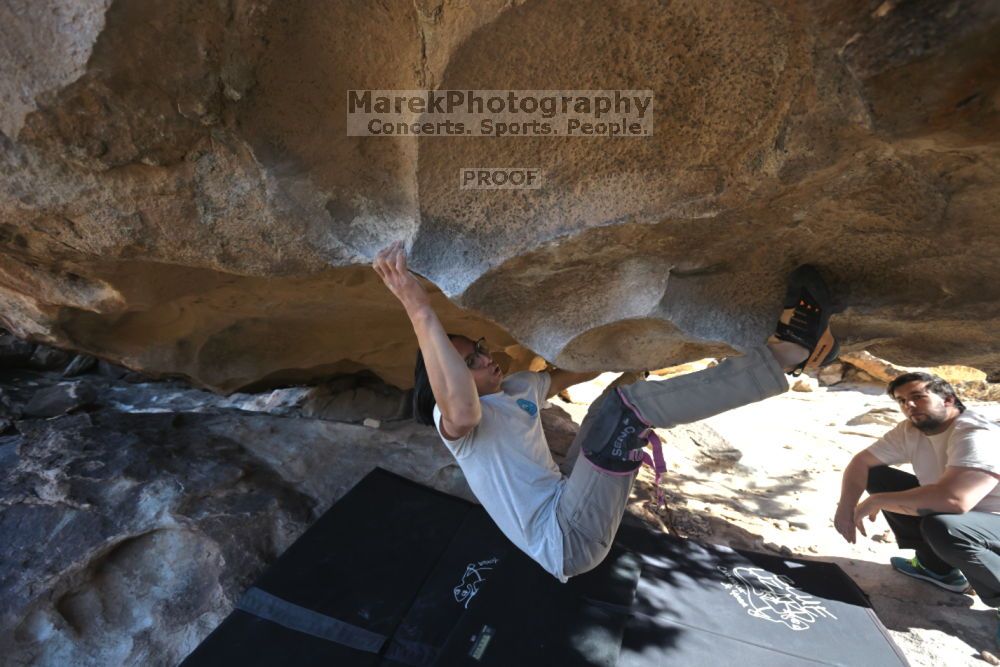 

Filename: SRM_20211212_1206550.jpg
Aperture: f/5.6
Shutter Speed: 1/500
Body: Canon EOS R6
Lens: Canon EF 16-35mm f/2.8 L