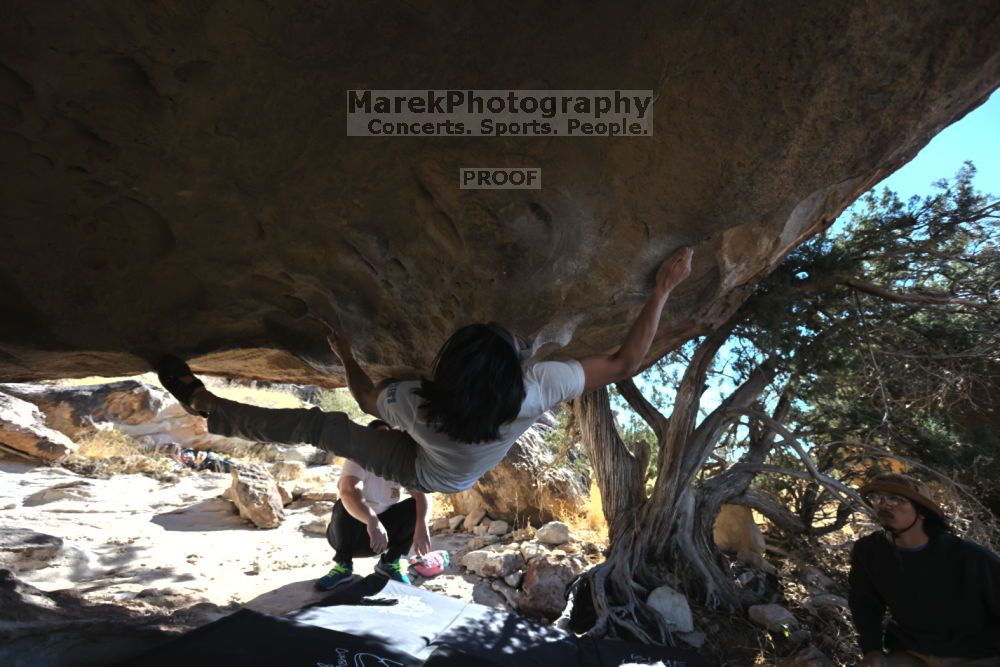 

Filename: SRM_20211212_1216190.jpg
Aperture: f/5.6
Shutter Speed: 1/500
Body: Canon EOS R6
Lens: Canon EF 16-35mm f/2.8 L