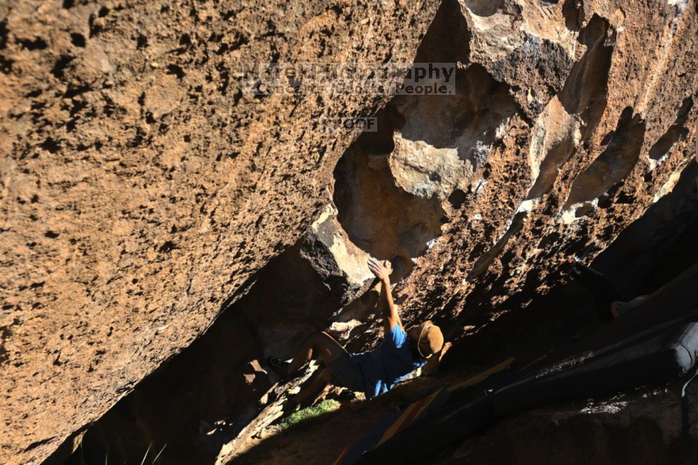 

Filename: SRM_20211212_1407140.jpg
Aperture: f/5.6
Shutter Speed: 1/1000
Body: Canon EOS R6
Lens: Canon EF 16-35mm f/2.8 L