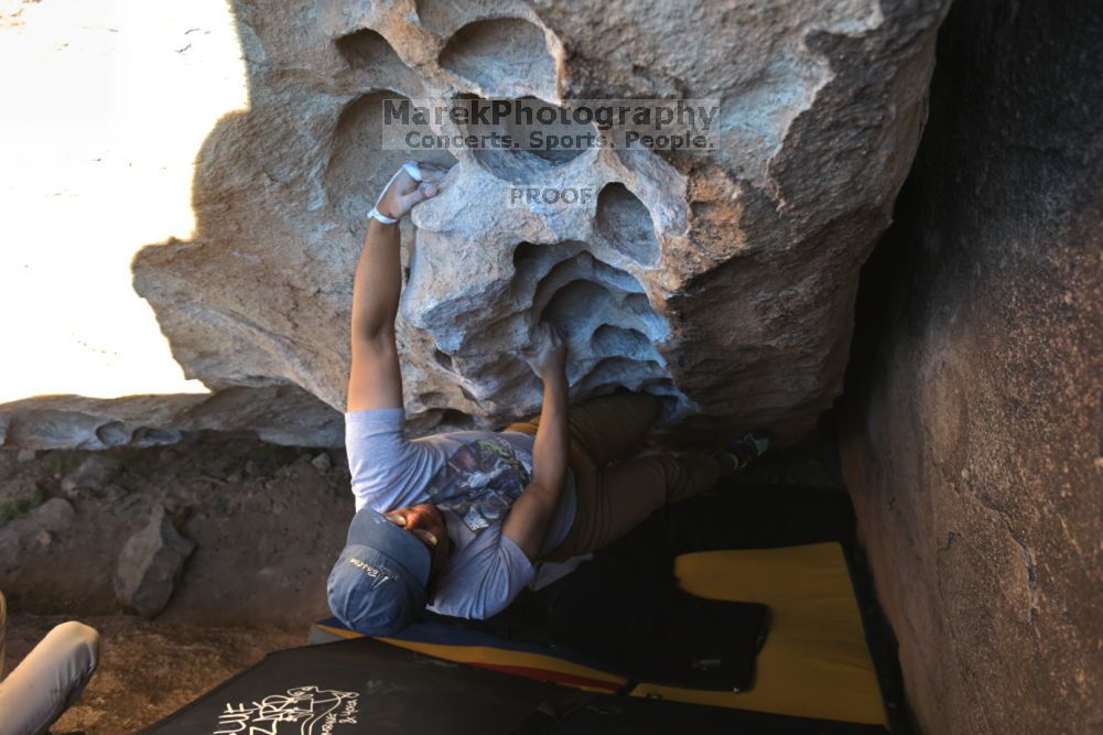 

Filename: SRM_20211212_1449300.jpg
Aperture: f/4.0
Shutter Speed: 1/400
Body: Canon EOS R6
Lens: Canon EF 16-35mm f/2.8 L