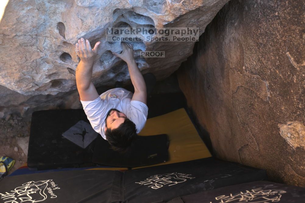 

Filename: SRM_20211212_1451100.jpg
Aperture: f/4.0
Shutter Speed: 1/400
Body: Canon EOS R6
Lens: Canon EF 16-35mm f/2.8 L