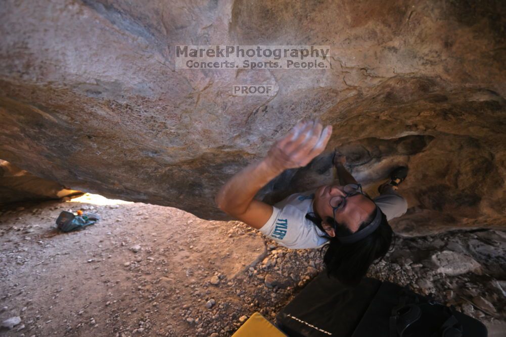 

Filename: SRM_20211212_1511010.jpg
Aperture: f/4.0
Shutter Speed: 1/400
Body: Canon EOS R6
Lens: Canon EF 16-35mm f/2.8 L