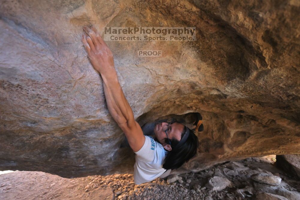 

Filename: SRM_20211212_1520040.jpg
Aperture: f/4.0
Shutter Speed: 1/400
Body: Canon EOS R6
Lens: Canon EF 16-35mm f/2.8 L