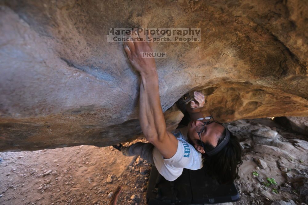

Filename: SRM_20211212_1536450.jpg
Aperture: f/4.0
Shutter Speed: 1/400
Body: Canon EOS R6
Lens: Canon EF 16-35mm f/2.8 L